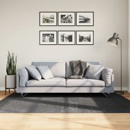 Rug IZA Short Pile Scandinavian Look Anthracite 140x200cm