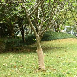 Jute Roll 0.5x25 m 100% Jute 200 gsm