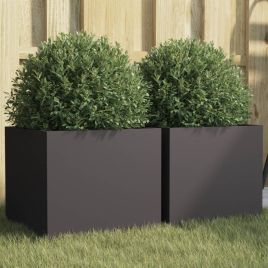 Planters 2 pcs Black 32x30x29 cm Cold-rolled Steel