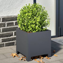 Garden Planters 2 pcs Anthracite 30x30x30 cm Steel