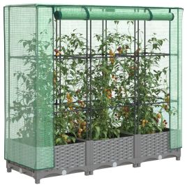 Raised Bed with Greenhouse Cover Rattan Look 120x40x123 cm - vid-4015853