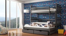 RYN Wooden 2 Drawers Storage Double Bed with Trundle and Foam Mattress - Graphite