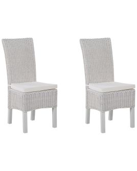 Set of 2 Rattan Dining Chairs White ANDES