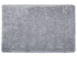 Shaggy Area Rug 200x300cm Grey