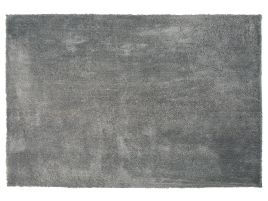 Shaggy Area Rug 200x300cm Grey