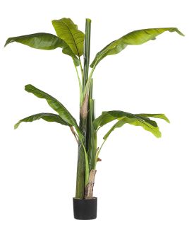 Artificial Potted Plant 154 cm BANANA TREE