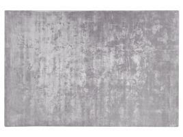 Viscose Area Rug 200x300cm Light Grey