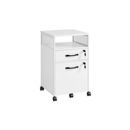 File Cabinet - ZARTA 2 Lockable Drawer Storage - White