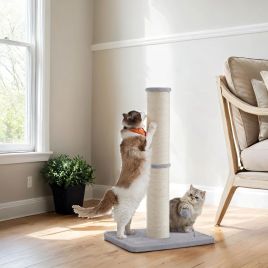 PEBUSA Cat Scratching Post with Spring Toy - Light Grey
