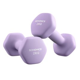 TEXINE Set of 2 Hex Dumbbells - Ash Purple