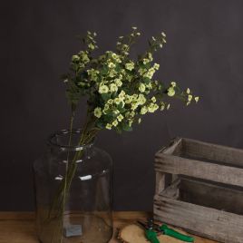 Wild Meadow Rose - Green