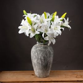 3 Full Blooms Lily - White