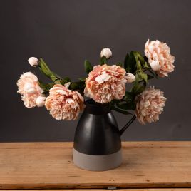 Peach Peony Rose - Orange