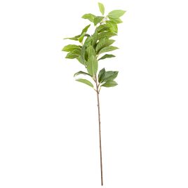 Laurel Leaf Spray - Green