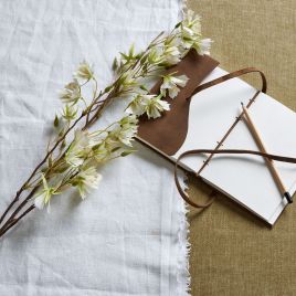 Elaeocarpus Stem - Green