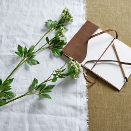 Faux White Cow Parsley Ammi - Green