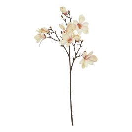 Natural Outdoor Collection Pale Apricot Magnolia Stem