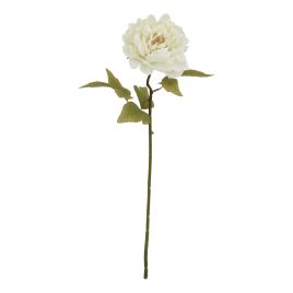 Natural Outdoor Collection White Peony