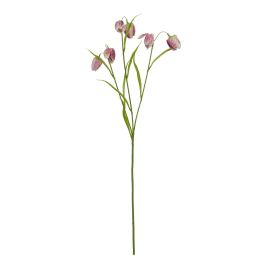 Natural Outdoor Collection Purple - Fritillaria Stem