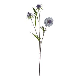 Pale Scabious Stem - Blue
