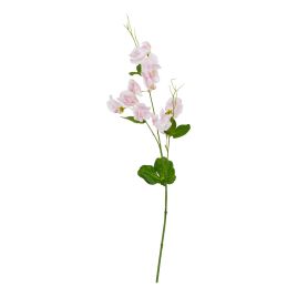 Natural Outdoor Collection Pale - Pink Sweetpea Stem