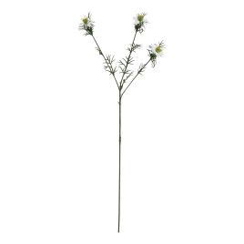 Natural Outdoor Collection White Nigella Love In A Mist