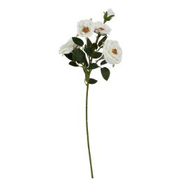 Natural Outdoor Collection White Hedge Rose Stem