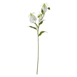 Cremo Gloriosa Spray