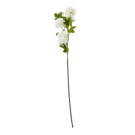 Cremo Snowball Viburnum Spray