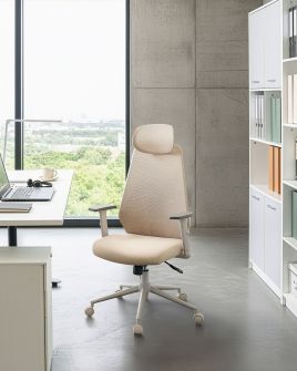 KALERO Office Storage Cabinet with 2 Shelves - Black