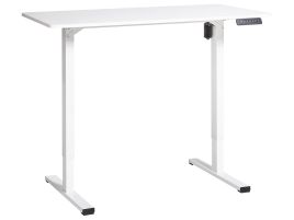 TAAVRES Electric Adjustable Standing Desk 120 x 60 cm White