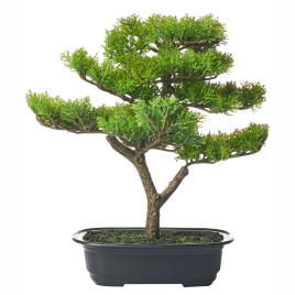 ORRAVIA Artificial Flora- Green