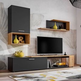 Alex Lucca II TV Entertainment Unit - Black and Oak Wotan
