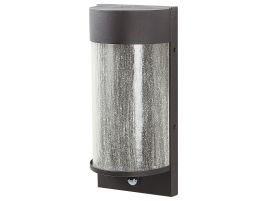Outdoor LED Wall Light with Motion Sensor Black PHEPPIE