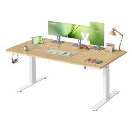 HADOSY Electric Standing Desk with USB-C Port - Golden Oak