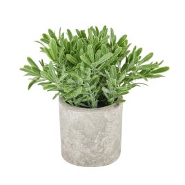Buxus Plant Pot - Stone Effect