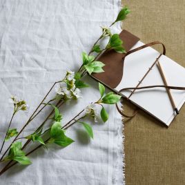 Tall Mock Orange Spray - Green