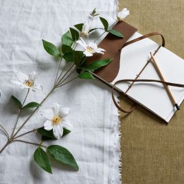 Florida Clematis - White