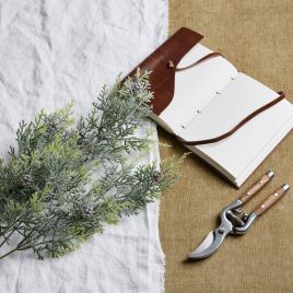 Brian Collection Frosted Pine Tall Stem With Pinecones