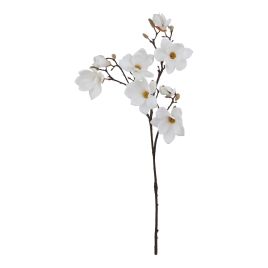 Natural Outdoor Collection White Magnolia Stem