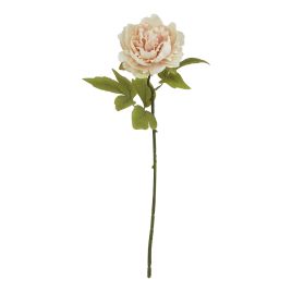 Natural Outdoor Collection Blush Peony