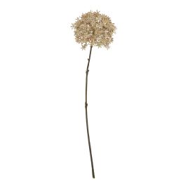 Fabric Coffee Allium
