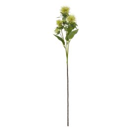 Blanor Green Safflower Spray