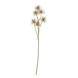 Blanor Brown Xanthium Spray