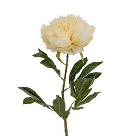 Buttermilk Double Peony Stem - Large