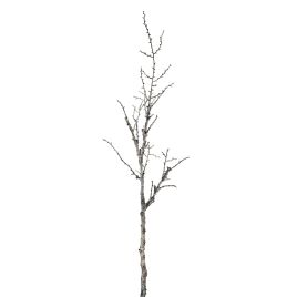 NIVAL Snowy Winter Branch - White