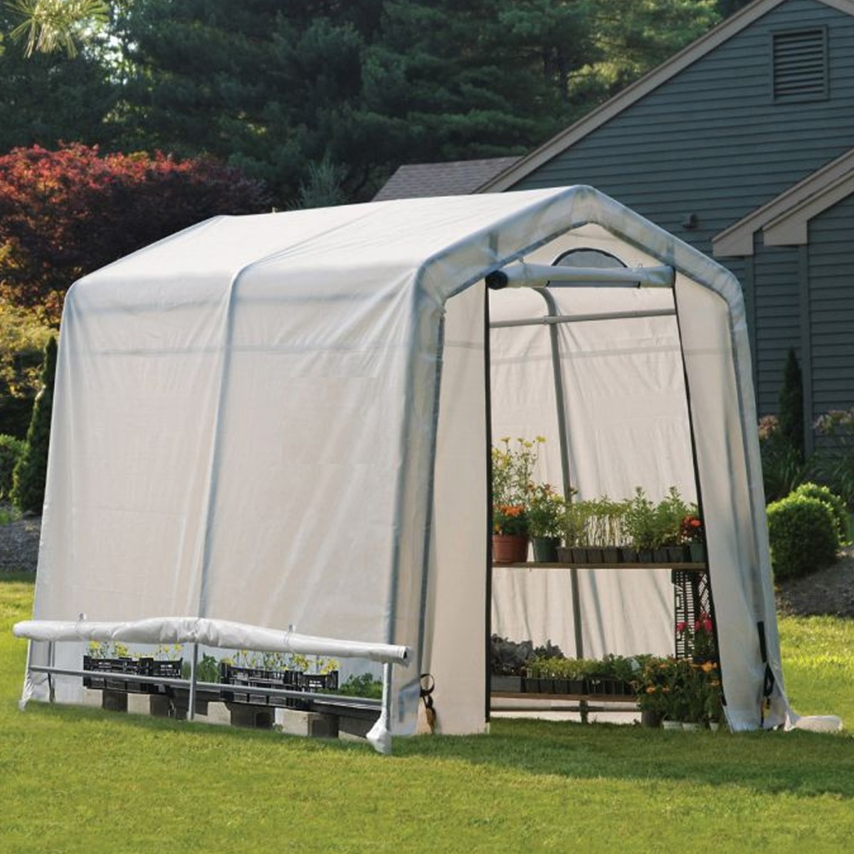 Dobson Greenhouse Plant Shelter with Translucent Ripstop Cover and Steel Frame - 8×6 - Etta Gardens