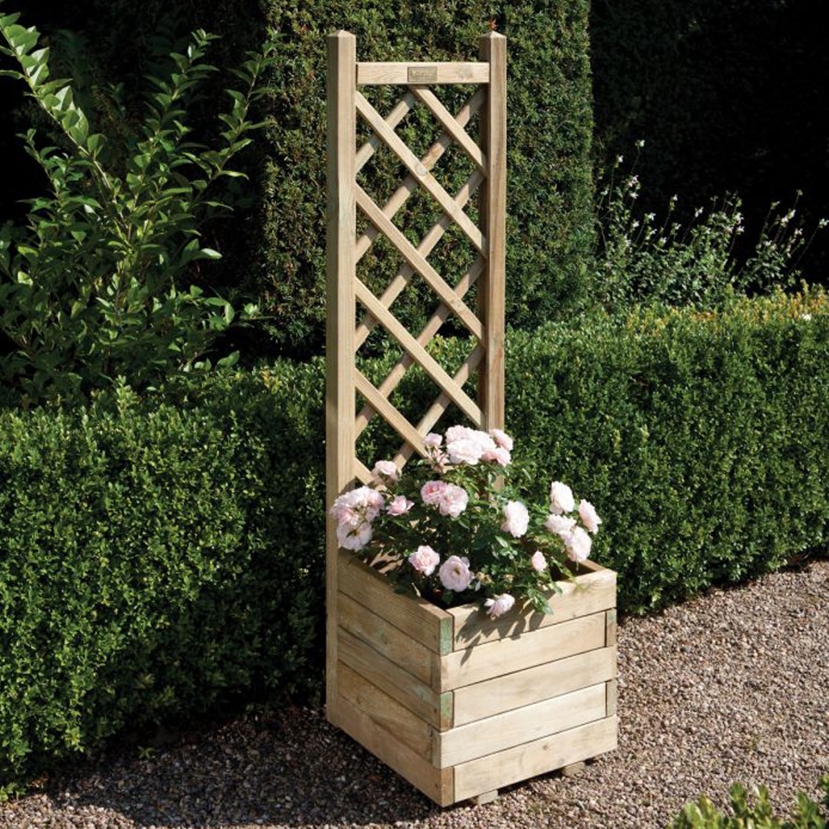 Natural Timber Square Planter and Lattice for Climbing Plants - Etta Gardens