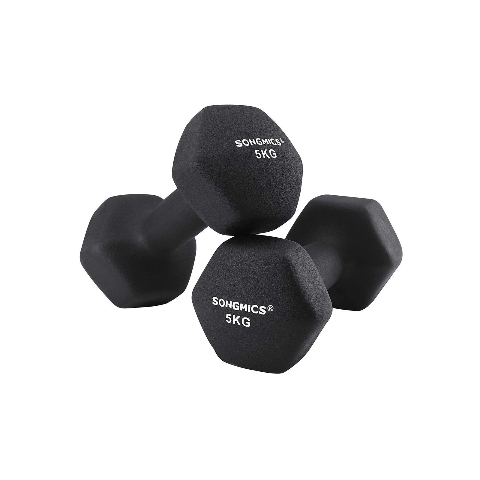 2 x 5 kg Dumbbells - Indigo Home