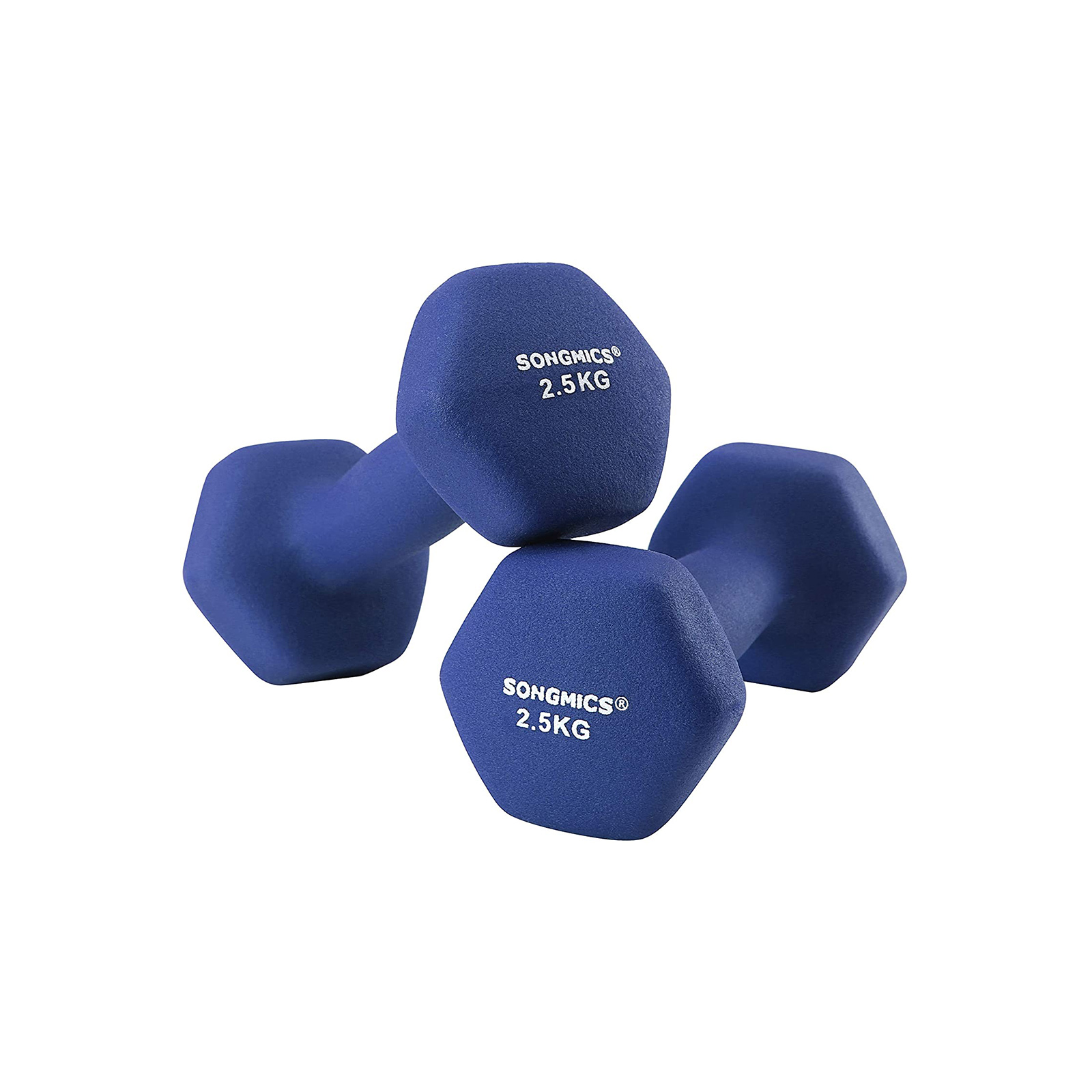 Matte Finish Dumbbells - Indigo Home
